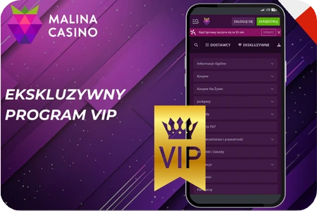 Program VIP